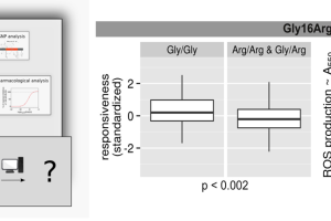 Pharmacogenomical study on β2AR-responsiveness